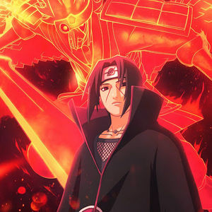 Meet your Posher, Divon